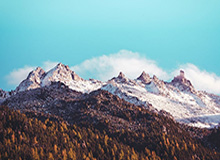 世界杯app下载地址-泰达只是善用赛制？足协杯用实力回击“侥幸保级”